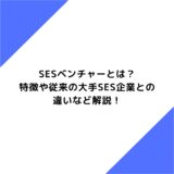 SESベンチャーとは？特徴や従来の大手SES企業との違いなど解説！